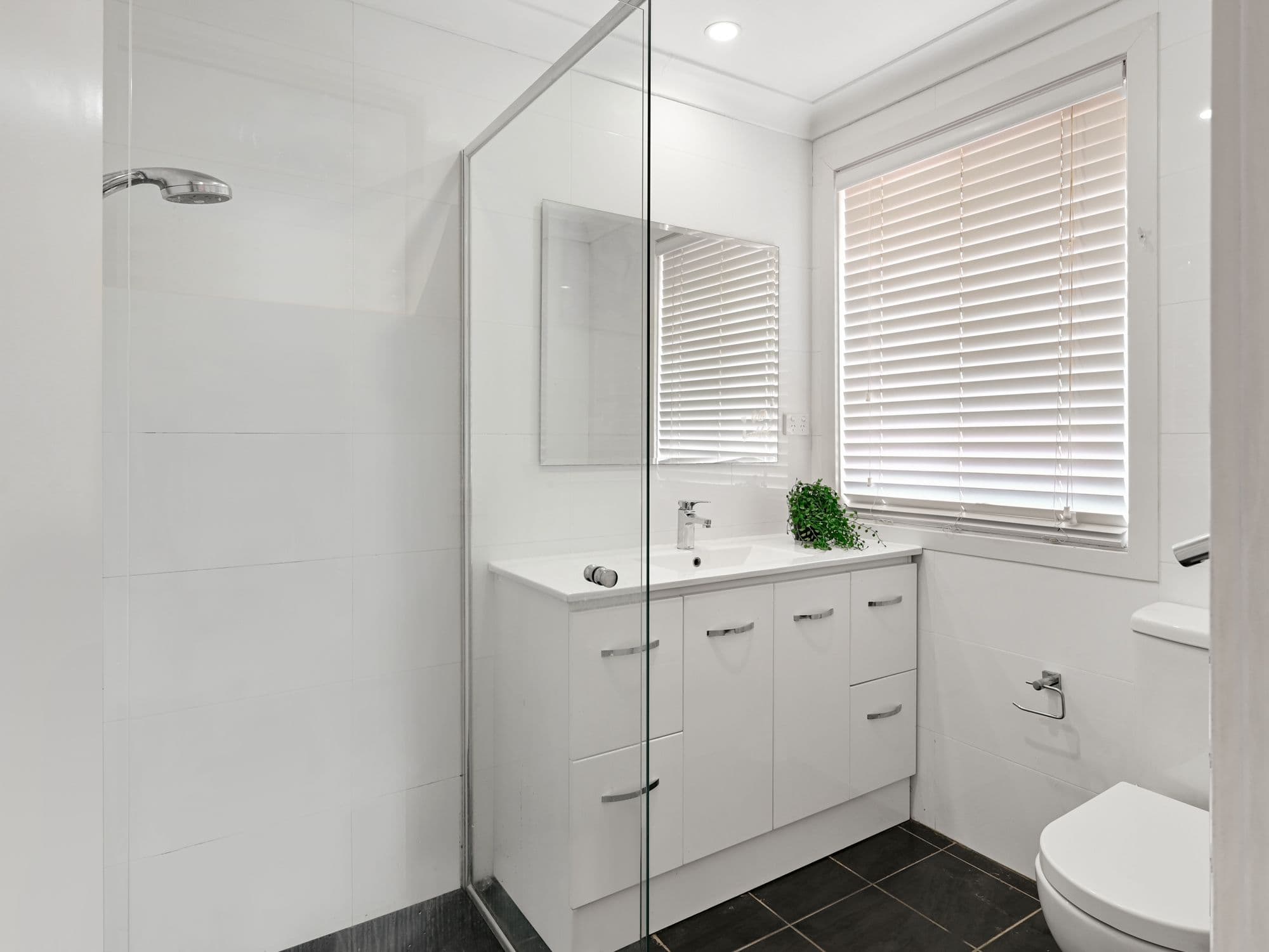 16 Waterworth Drive, Narellan Vale NSW 2567, Narellan Vale - Thumbnail 5
