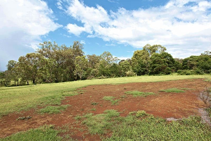 155 Grose Wold Road, GROSE WOLD NSW 2753, Grose Wold - Thumbnail 2