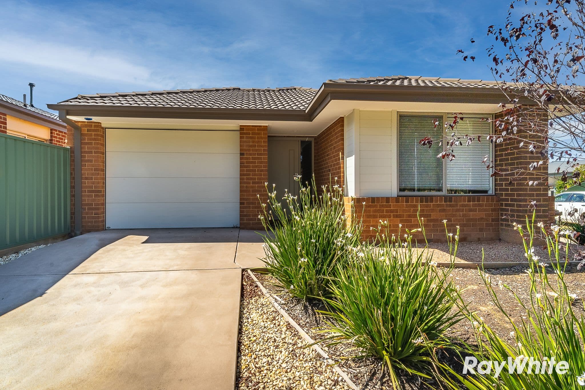 58 Darling Street, North Tamworth NSW 2340, North Tamworth - Image 1