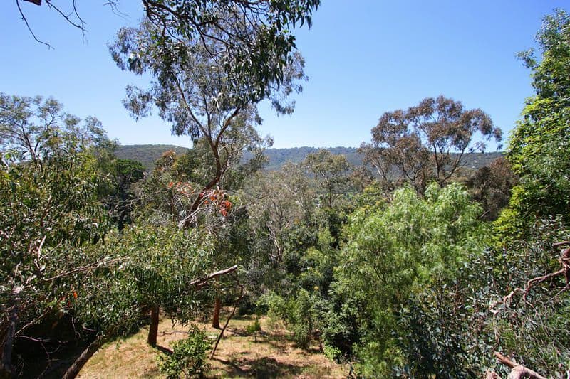 18 Grandview Crescent, UPPER FERNTREE GULLY VIC 3156, Upper Ferntree Gully - Thumbnail 5
