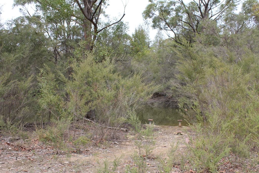 217 Jacks Corner Road, Kangaroo Valley, Kangaroo Valley - Thumbnail 8