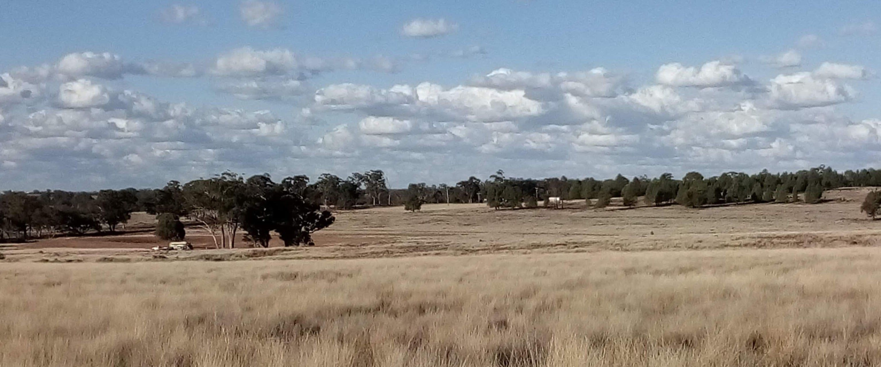 'Fairlight' 9R Buddens Road, Dubbo NSW 2830, Dubbo - Image 1