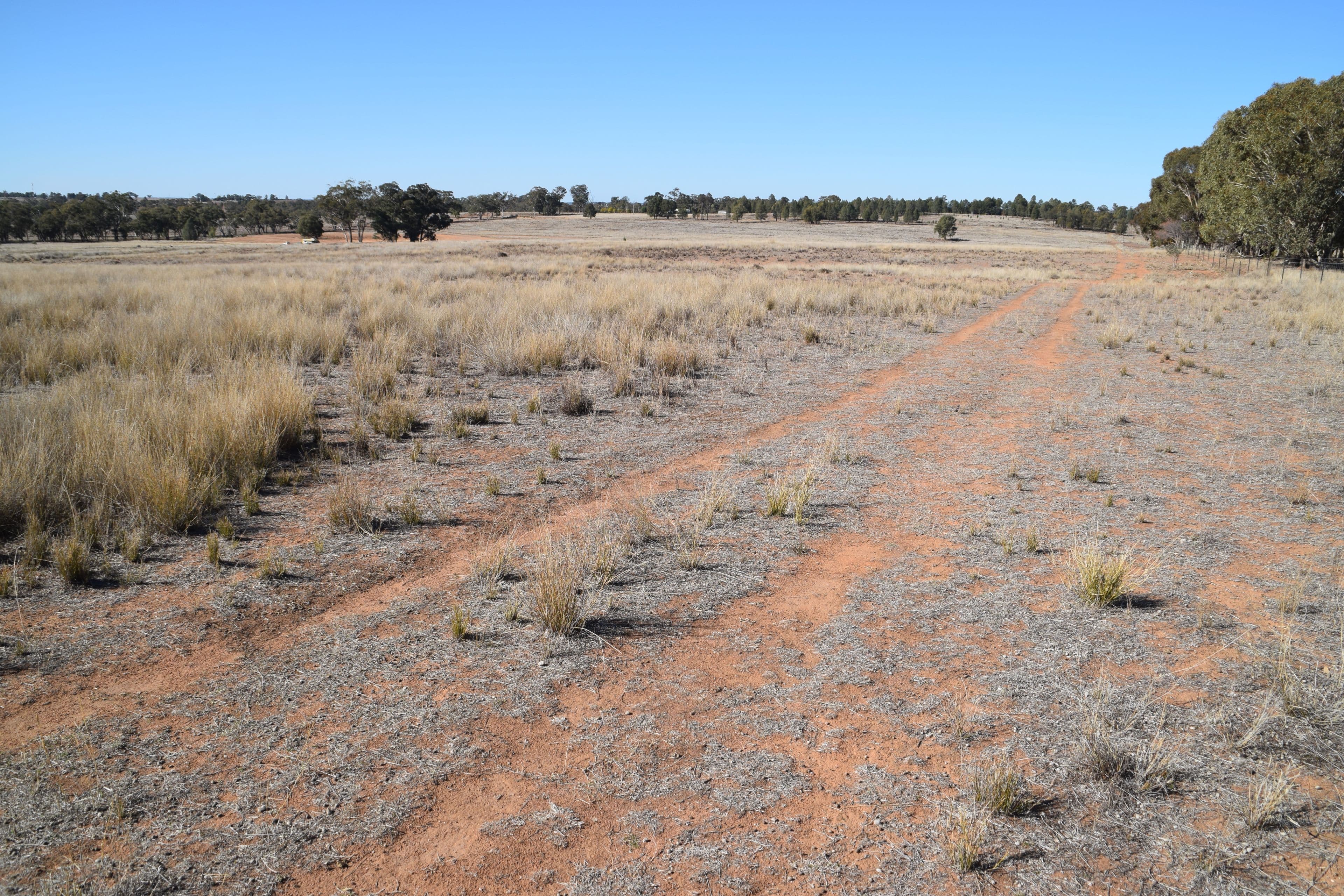 'Fairlight' 9R Buddens Road, Dubbo NSW 2830, Dubbo - Thumbnail 5