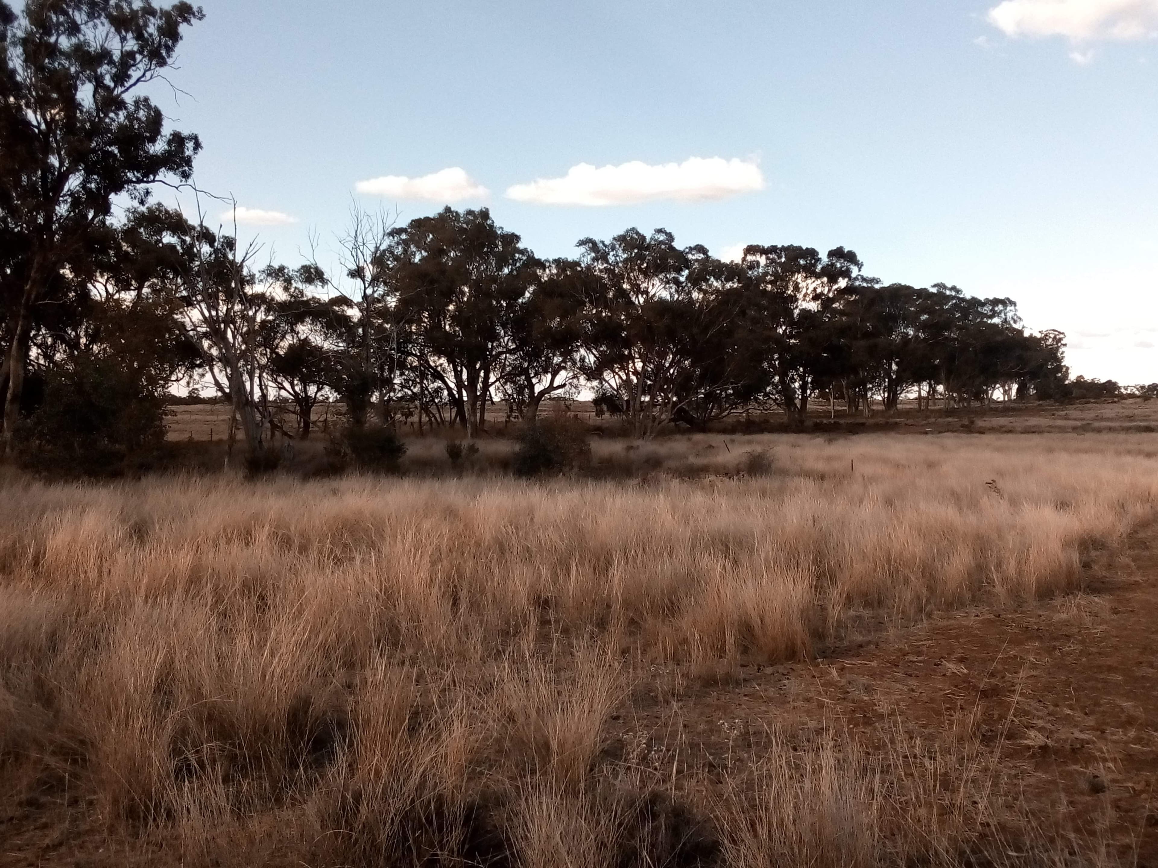 'Fairlight' 9R Buddens Road, Dubbo NSW 2830, Dubbo - Thumbnail 7