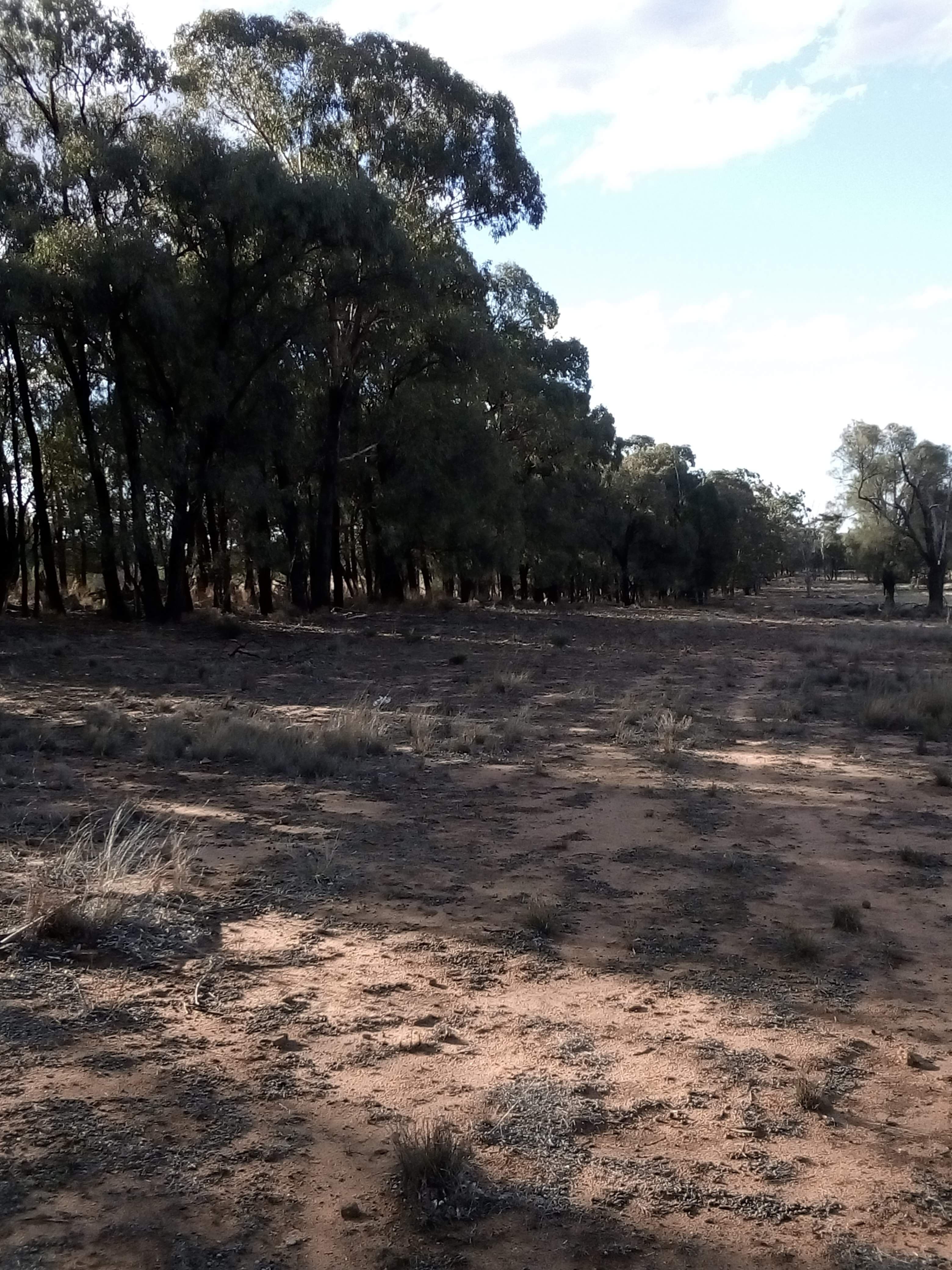 'Fairlight' 9R Buddens Road, Dubbo NSW 2830, Dubbo - Thumbnail 8
