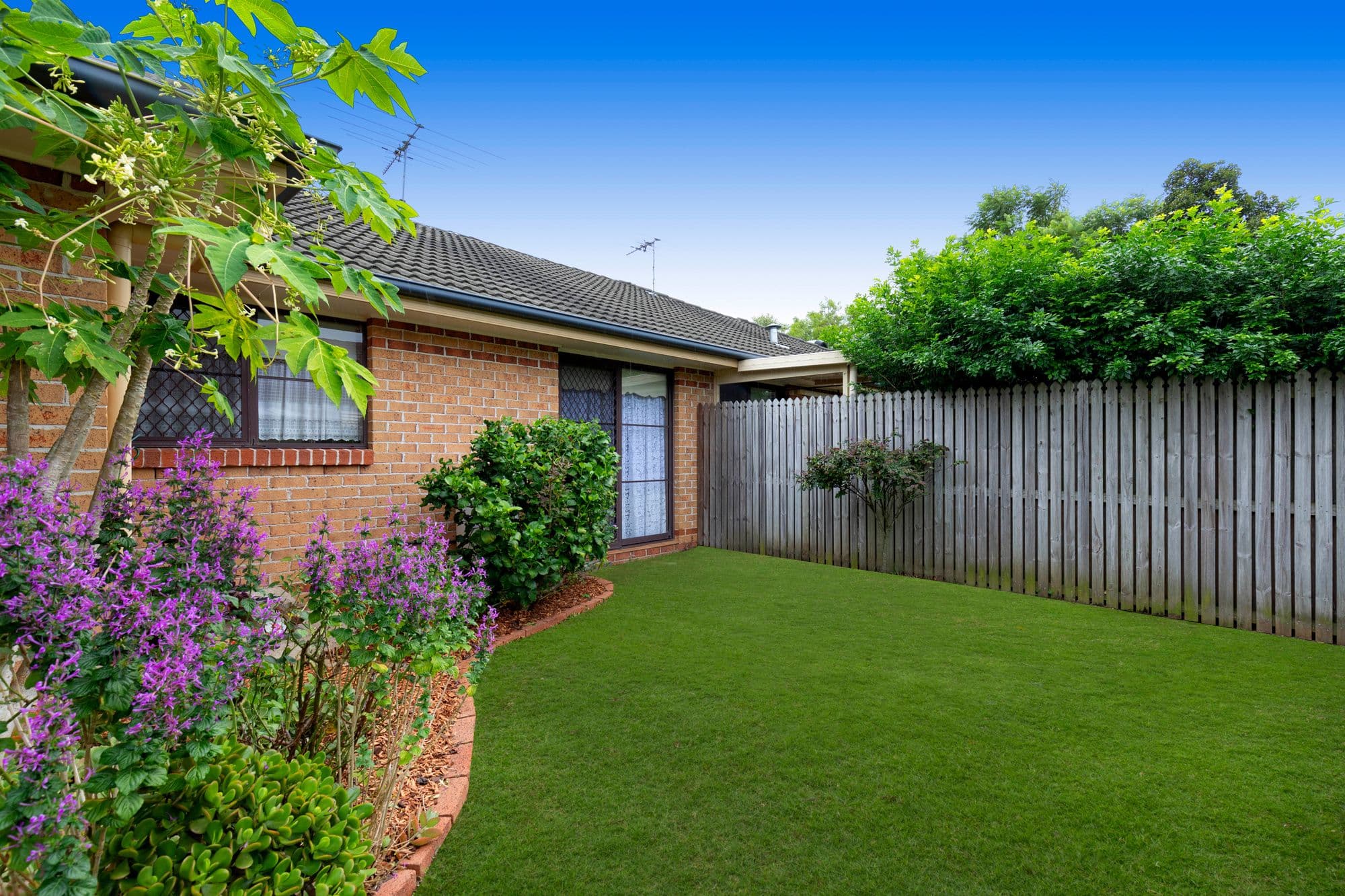 43 Scrub Road, Carindale QLD 4152, Carindale - Thumbnail 6