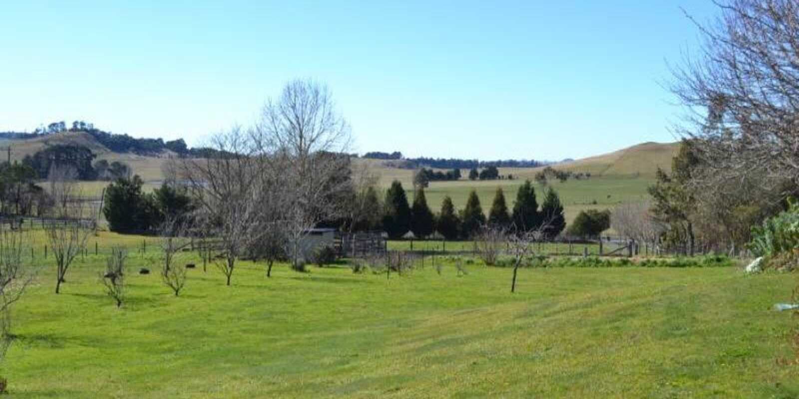 90 Yarrawa Road Moss Vale, Vale - Thumbnail 8