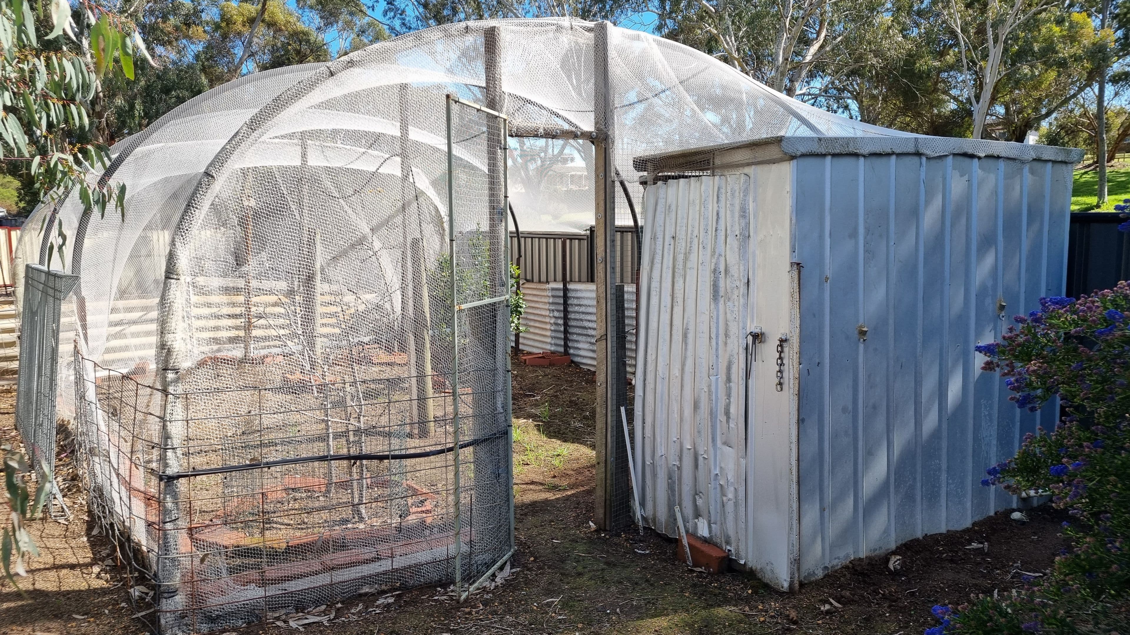 19 Gordon Street, Kojonup WA 6395, Kojonup - Thumbnail 7