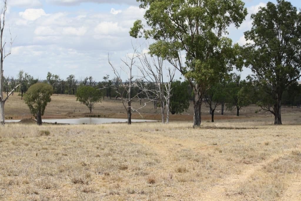 Lot 15 Benhams Road, Mundubbera QLD 4626, Mundubbera - Thumbnail 2
