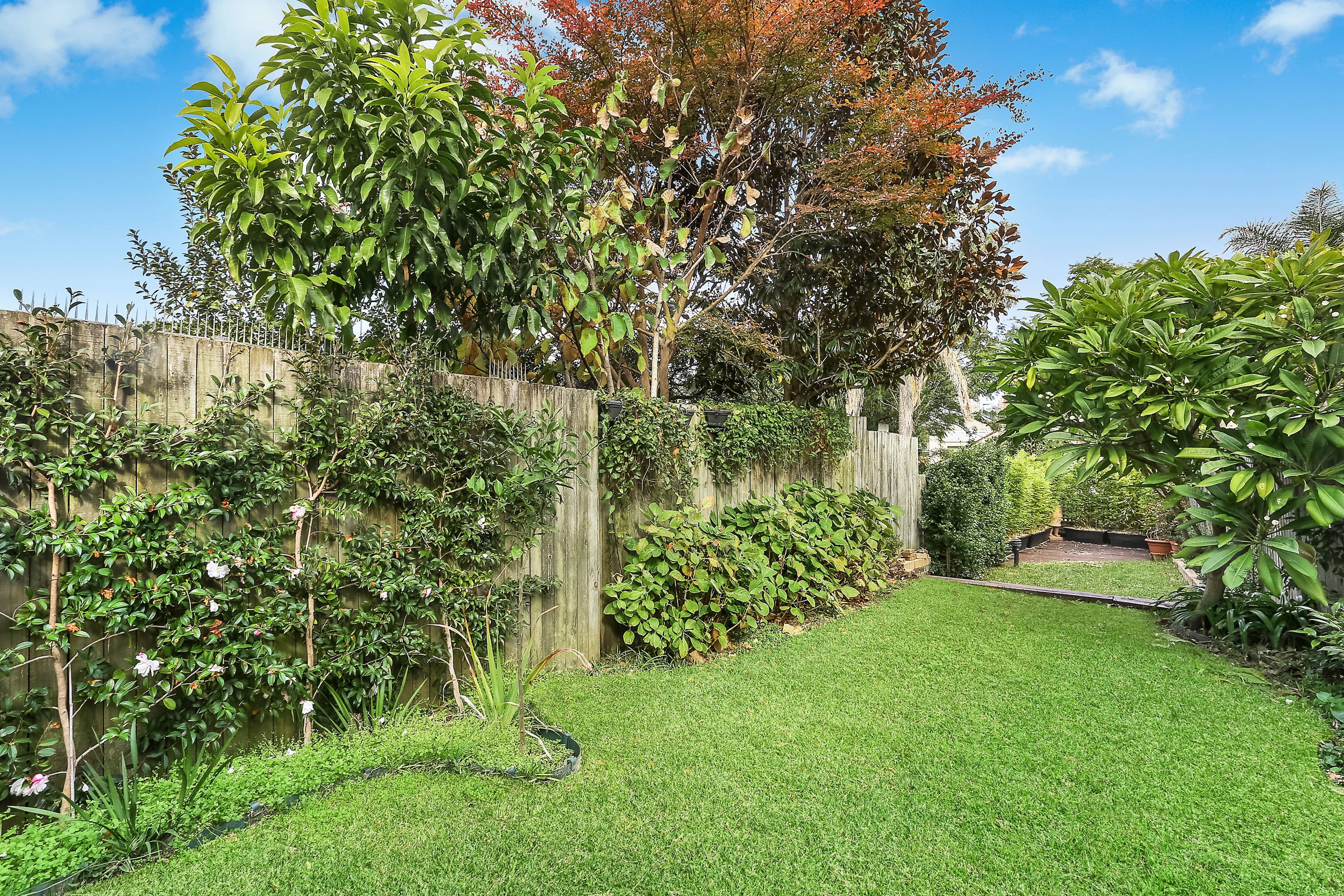 35 Whaling Road, North Sydney - Thumbnail 7