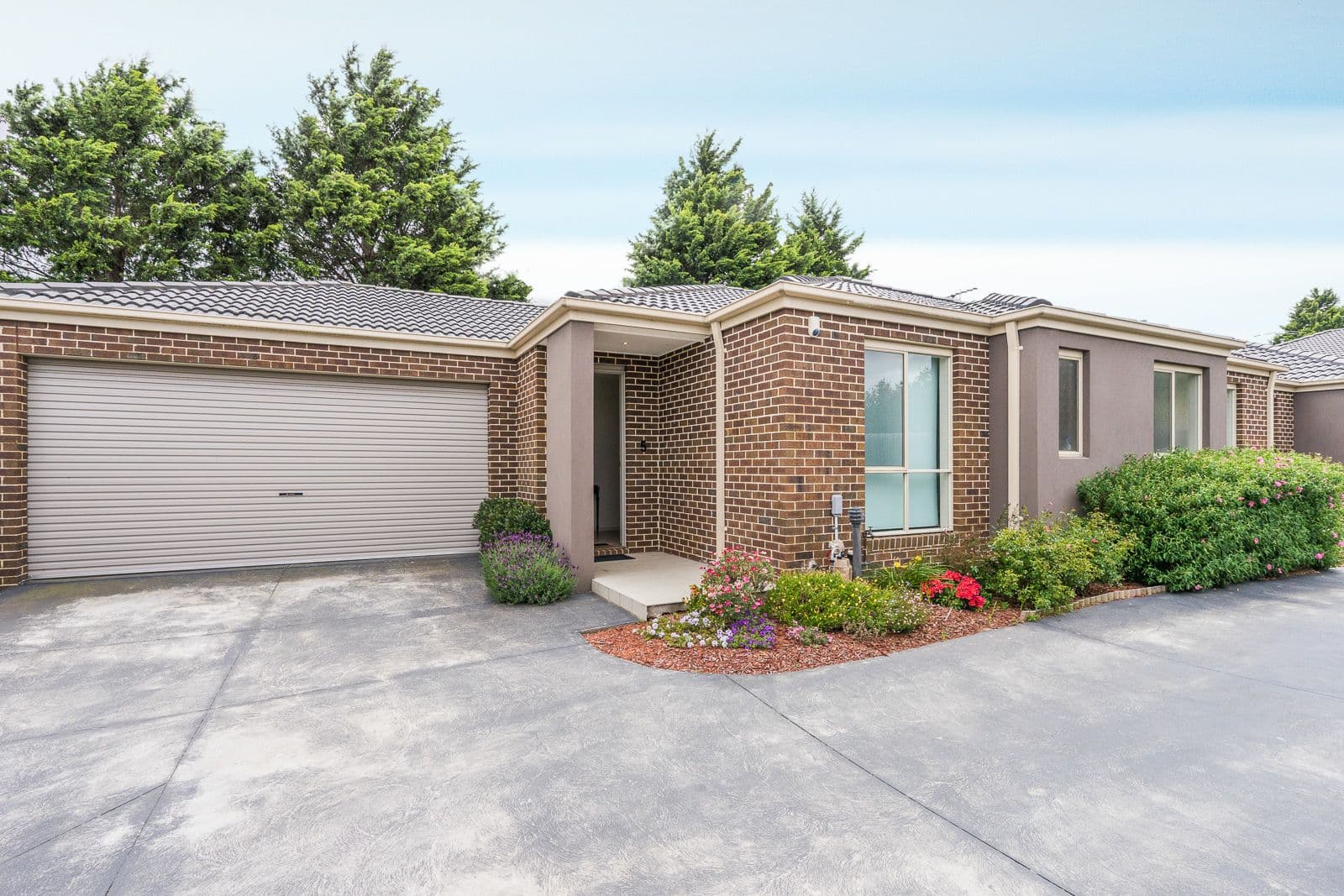 51 McCormicks Road, Carrum Downs VIC 3201, Carrum Downs - Image 1
