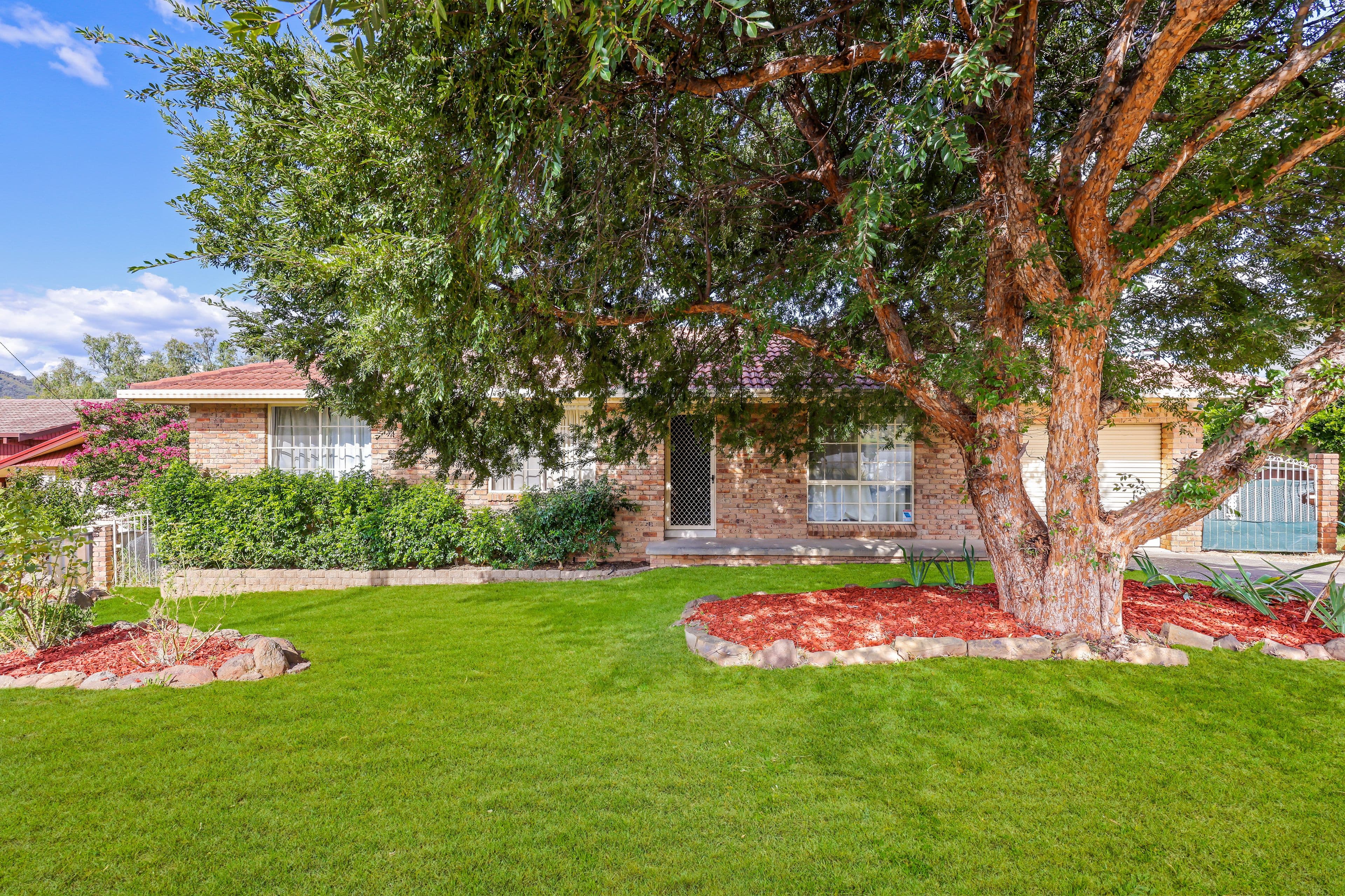37 Graham Street, Tamworth NSW 2340, Calala - Image 1