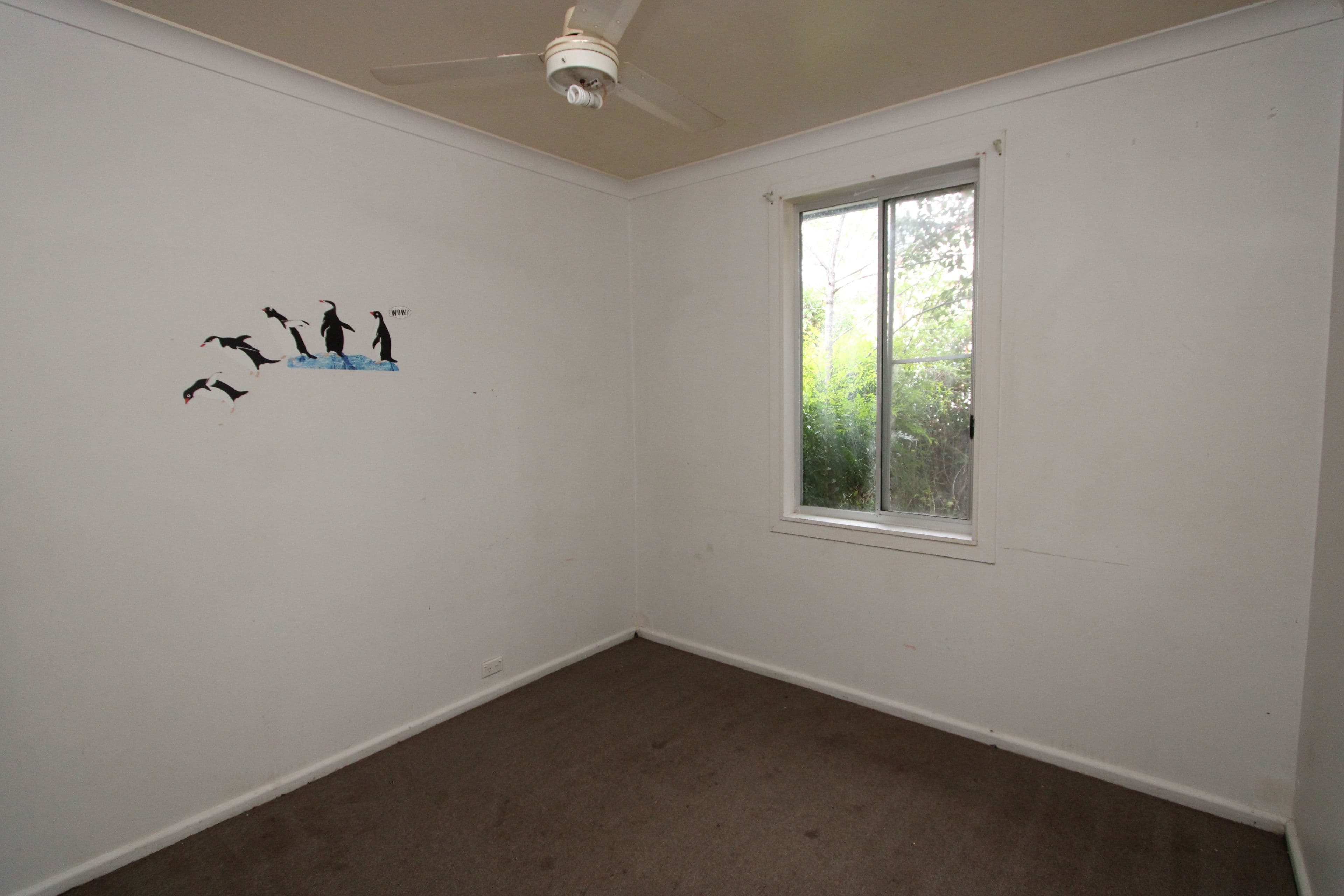 34 Shirley Street, Inverell NSW 2360, Inverell - Thumbnail 6