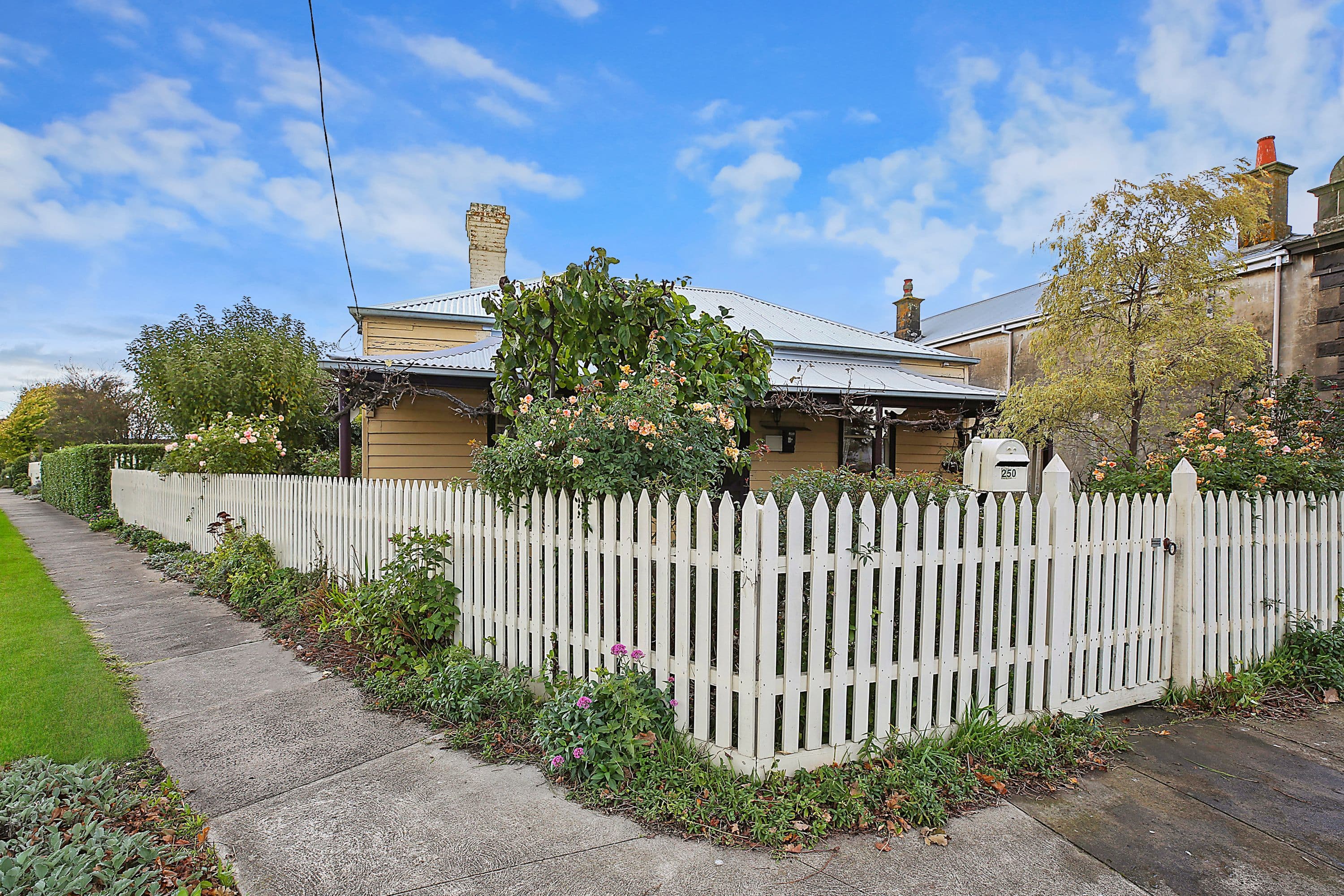 250 Manifold Street, Camperdown VIC 3260, Camperdown - Thumbnail 2