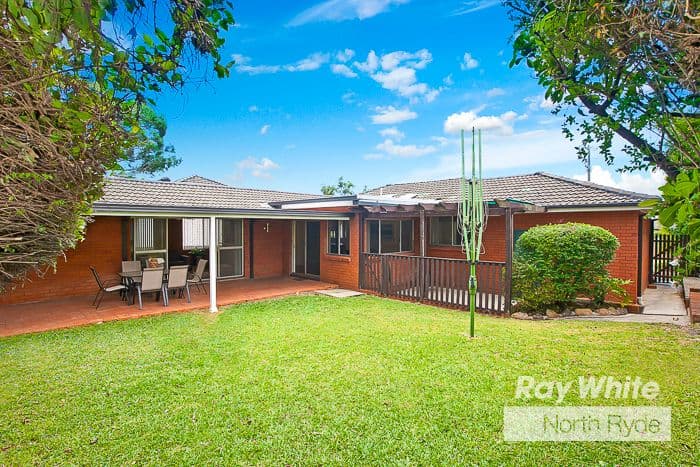 49 Conrad Street, North Ryde NSW 2113, North Ryde - Thumbnail 4