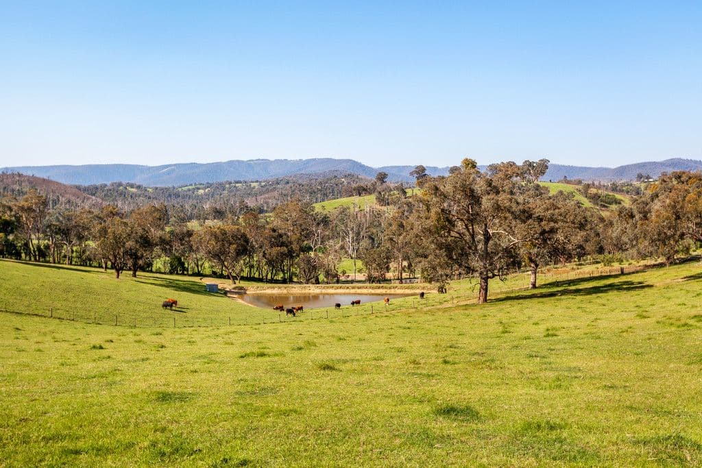 65 Mittons Bridge Road, ST ANDREWS VIC 3761, St Andrews - Thumbnail 2