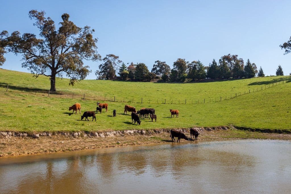 65 Mittons Bridge Road, ST ANDREWS VIC 3761, St Andrews - Thumbnail 3