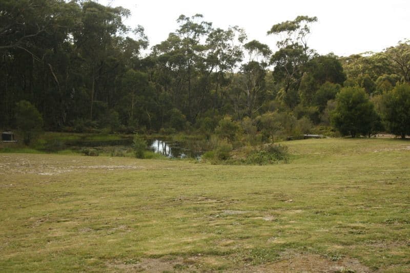 131 Forest Road, WINGELLO NSW 2579, Wingello - Thumbnail 5