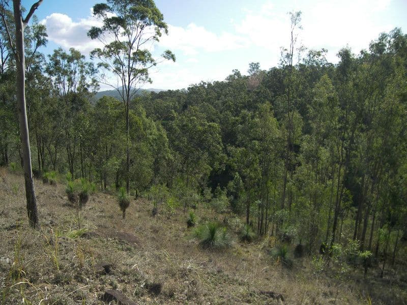 39-41 Collins Place, KOORALBYN QLD 4285, Kooralbyn - Thumbnail 3