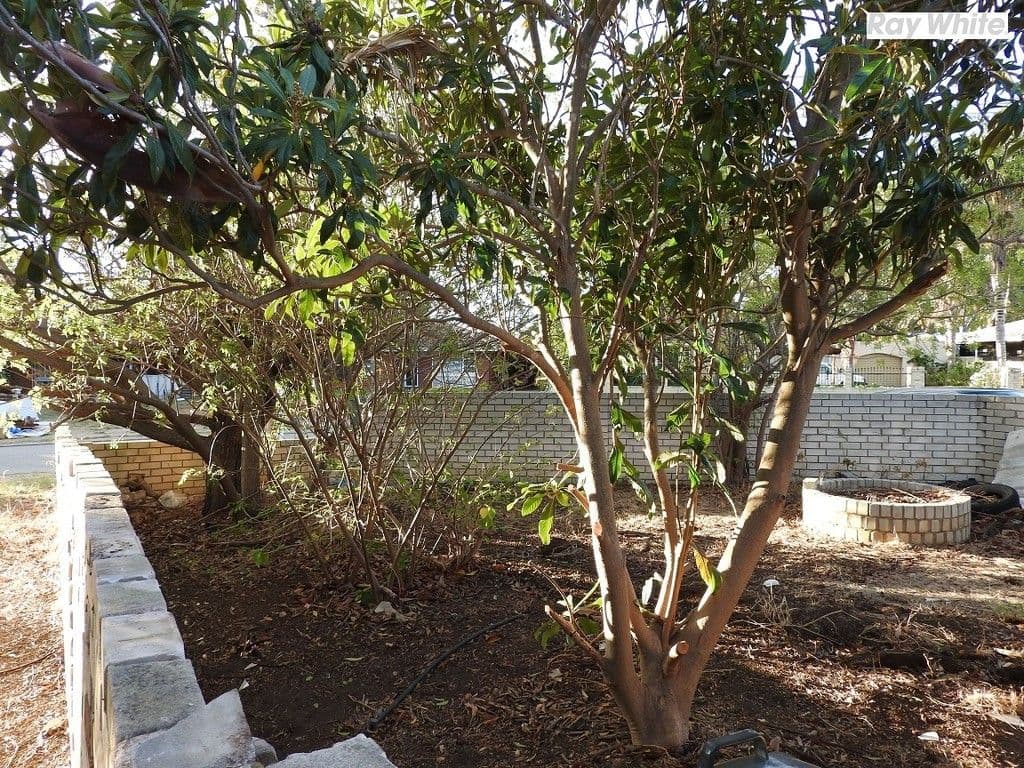 231 Seventh Road, Armadale WA 6112, Armadale - Thumbnail 4