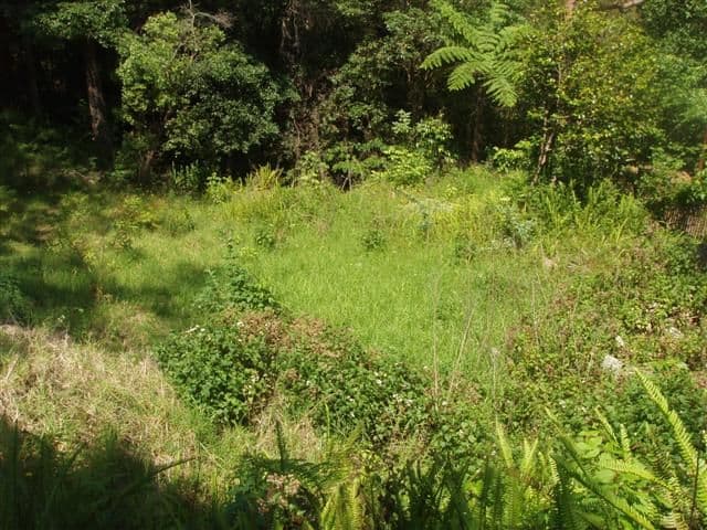 23 Valley Way, GYMEA BAY NSW 2227, Gymea Bay - Thumbnail 2