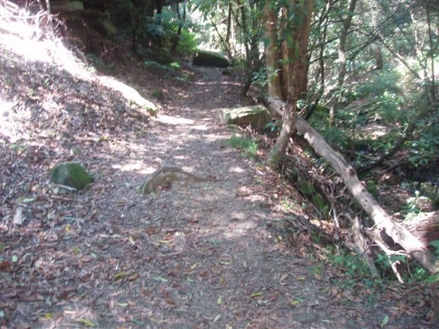 23 Valley Way, GYMEA BAY NSW 2227, Gymea Bay - Thumbnail 3