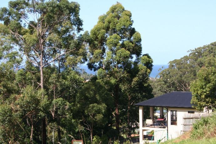 69b   High Street, THIRROUL NSW 2515, Thirroul - Thumbnail 4