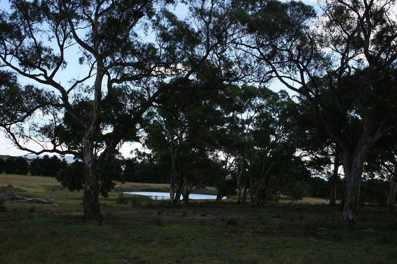 3073 Mayfield Road, TARAGO NSW 2580, Tarago - Thumbnail 4