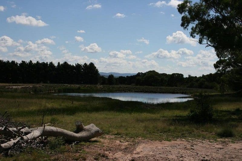 3073 Mayfield Road, TARAGO NSW 2580, Tarago - Thumbnail 8