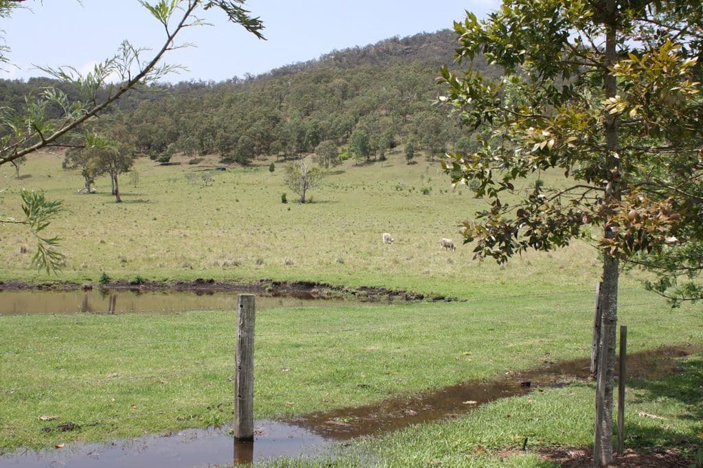 Lot 4, 189 Sarabah Road, CANUNGRA QLD 4275, Canungra - Thumbnail 2