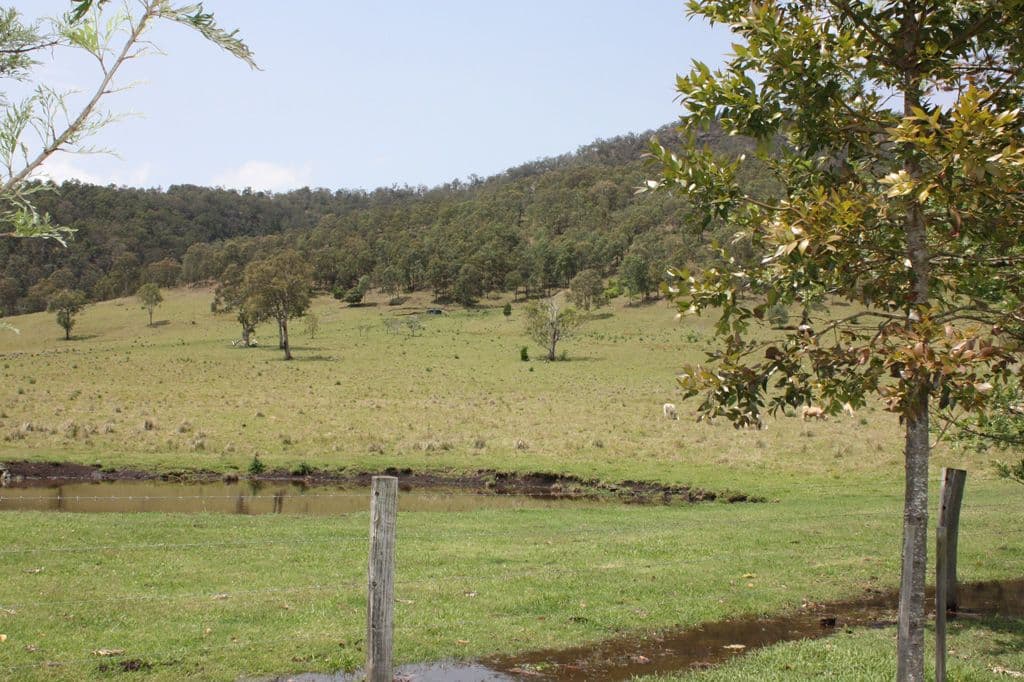 Lot 4, 189 Sarabah Road, CANUNGRA QLD 4275, Canungra - Thumbnail 3