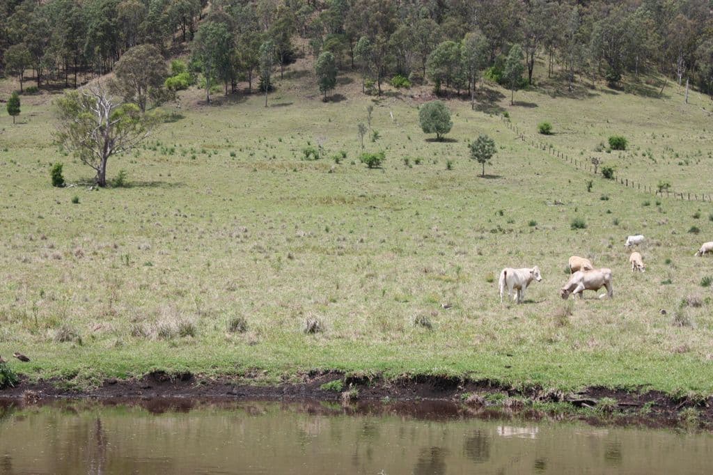 Lot 4, 189 Sarabah Road, CANUNGRA QLD 4275, Canungra - Thumbnail 4