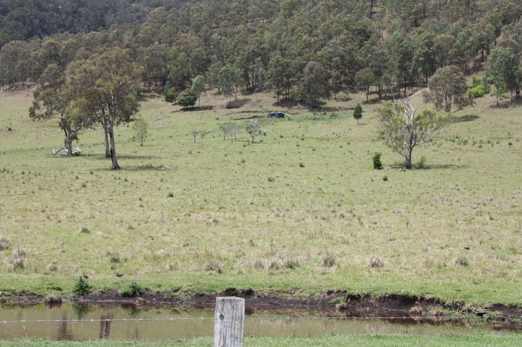 Lot 4, 189 Sarabah Road, CANUNGRA QLD 4275, Canungra - Thumbnail 5