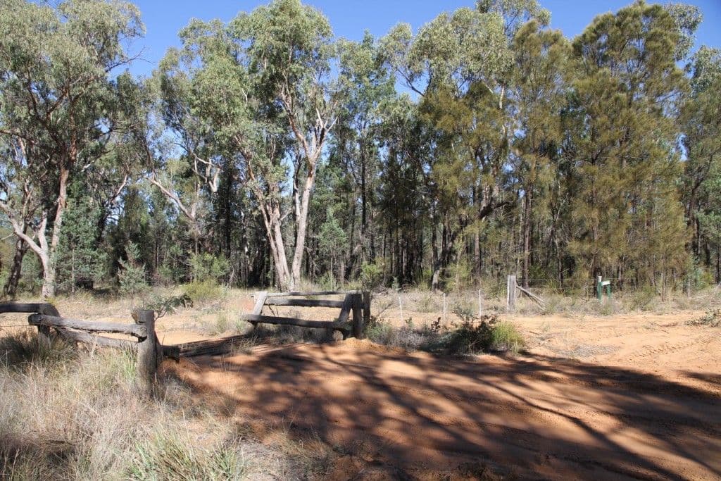 214 Foxglen Lane, NARRABRI NSW 2390, Narrabri - Thumbnail 2