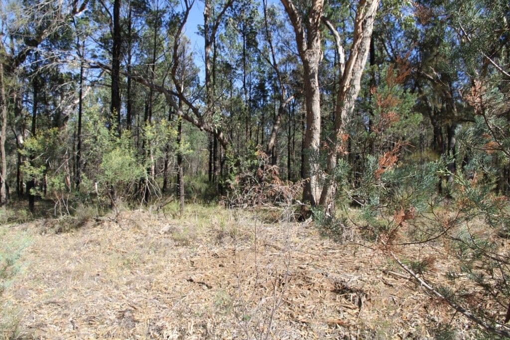 214 Foxglen Lane, NARRABRI NSW 2390, Narrabri - Thumbnail 4