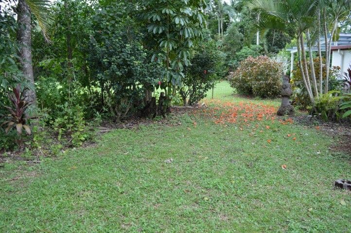 7 Penwerris Place, Mission Beach QLD 4852, Mission Beach - Thumbnail 7