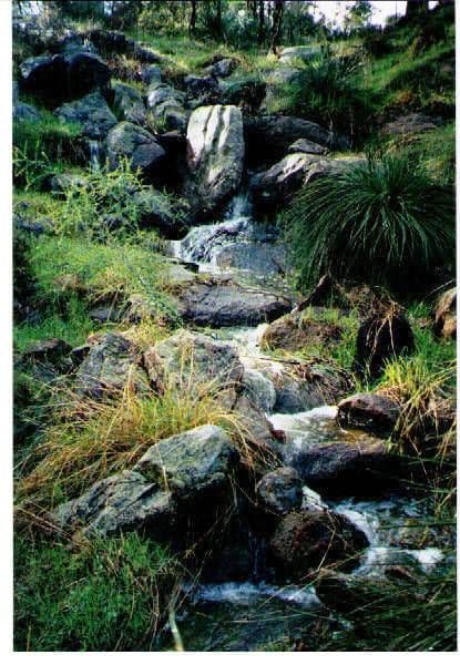 WAROONA WA 6215, Waroona - Thumbnail 6