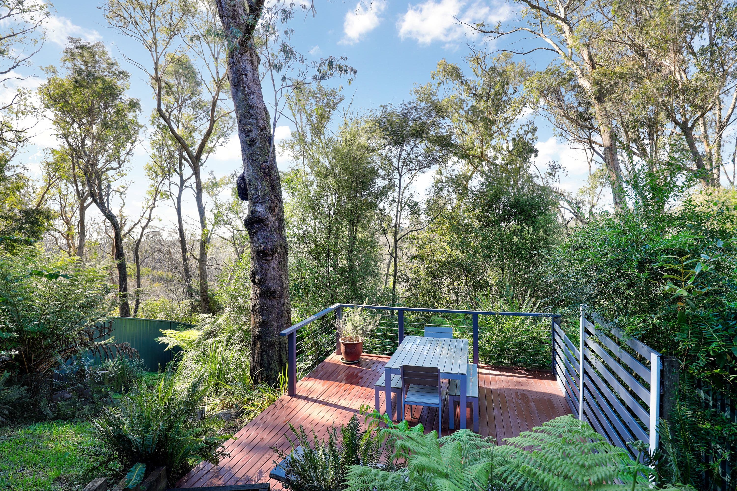 31 Rodriguez Avenue, Blackheath NSW 2785, Blackheath - Thumbnail 4