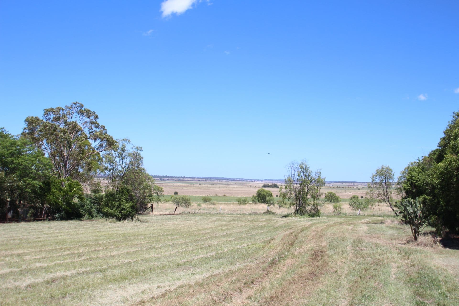 35 Goombungee Road, Kingsthorpe QLD 4400, Kingsthorpe - Thumbnail 4