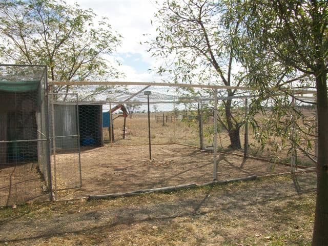 0  Orallo Road, ROMA QLD 4455, Roma - Thumbnail 7