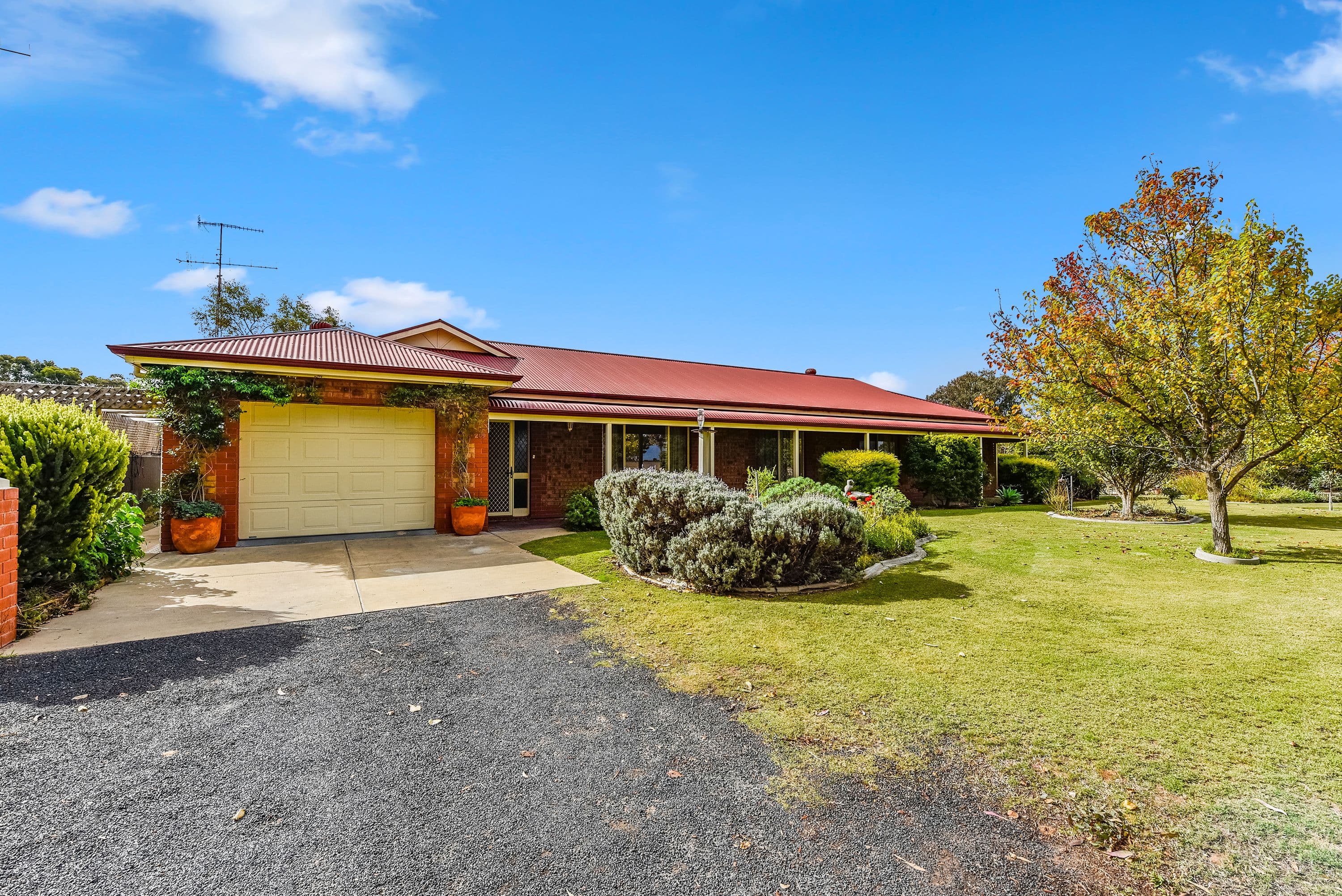 209 South Avenue, Bordertown SA 5268, Bordertown - Image 1