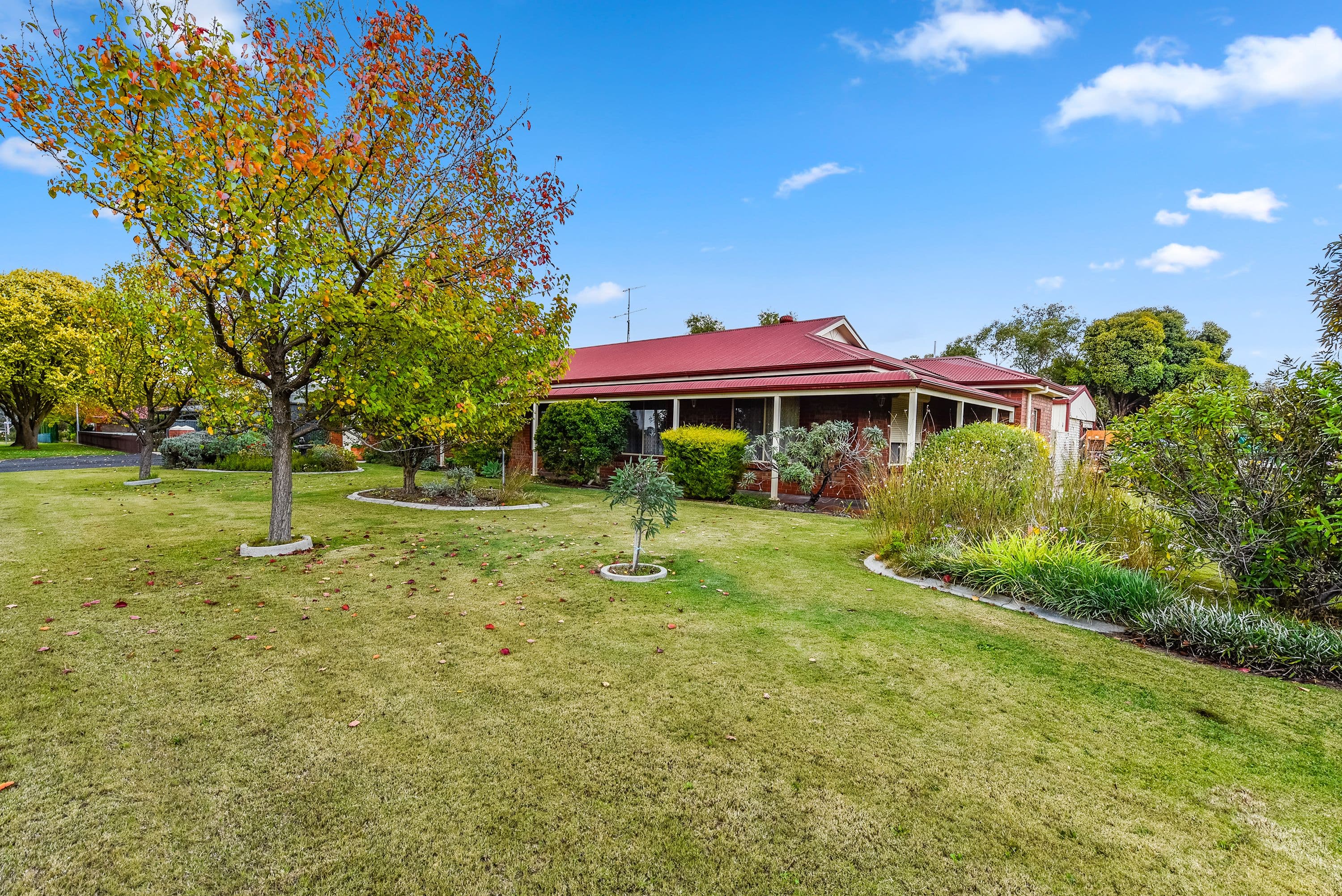 209 South Avenue, Bordertown SA 5268, Bordertown - Thumbnail 5