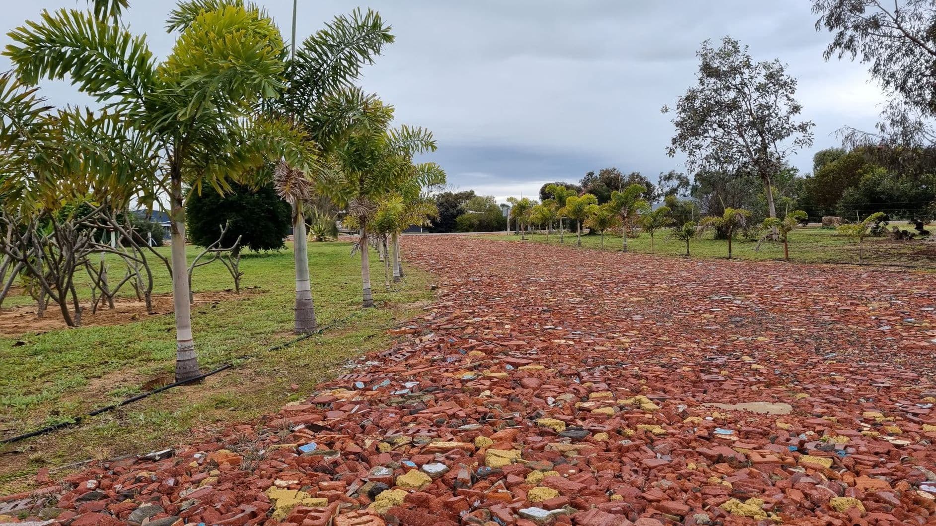 44 Dressage Circle, Deepdale WA 6532, Deepdale - Thumbnail 2