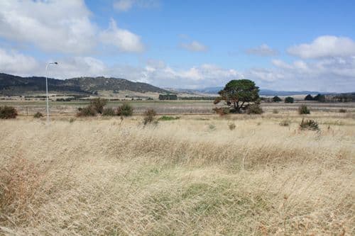 13 Lithgow Place, BUNGENDORE NSW 2621, Bungendore - Thumbnail 2