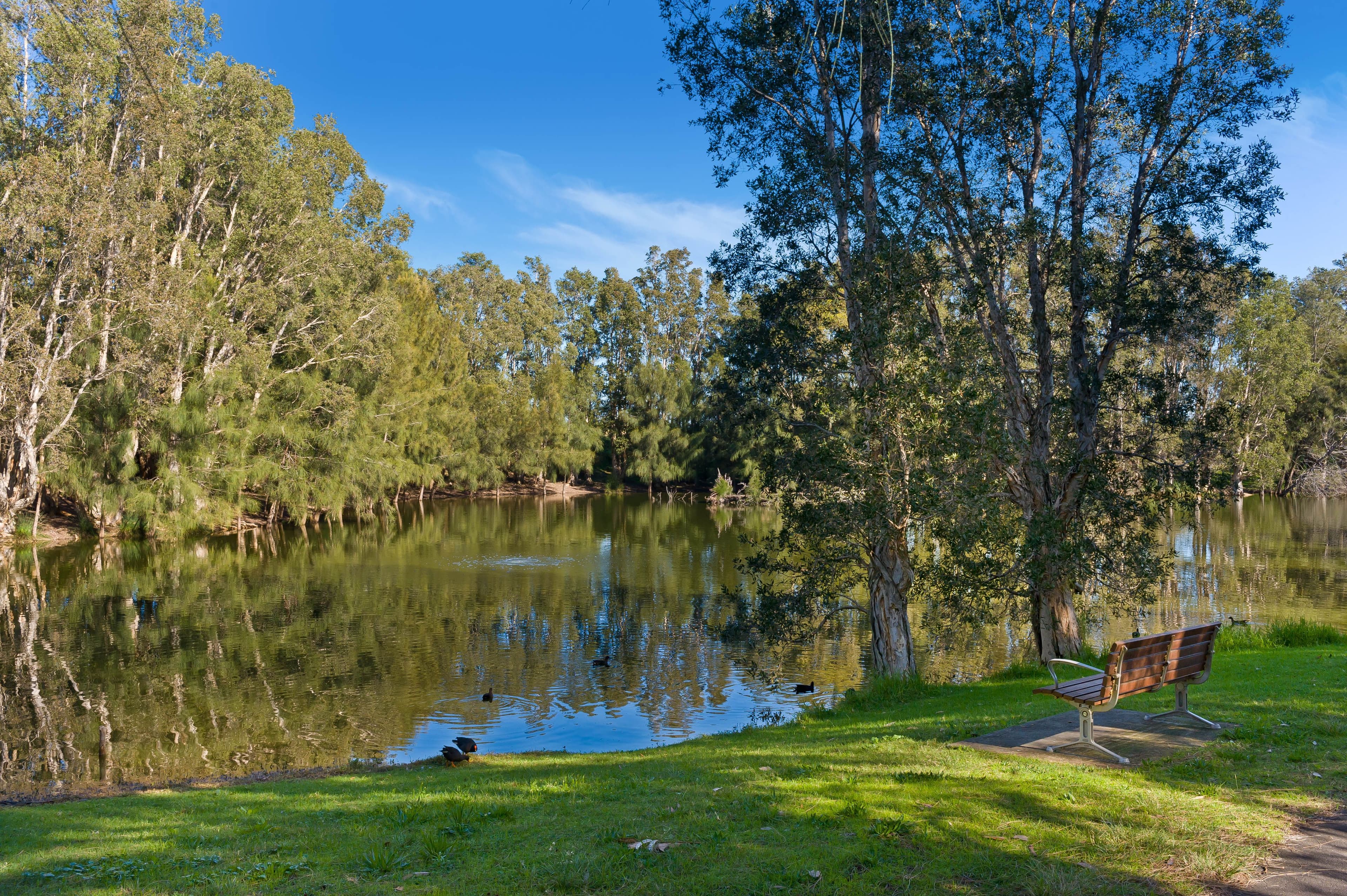 3 Hayden Place, Botany NSW 2019, Botany - Thumbnail 6
