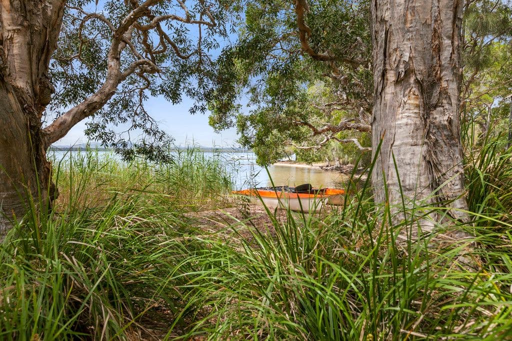 59 Lake Flat Road, Boreen Point QLD 4565, Boreen Point - Thumbnail 6