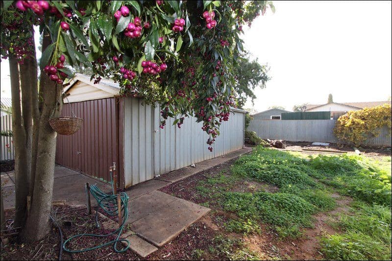 9 Walditch Street, ELIZABETH DOWNS SA 5113, Elizabeth Downs - Thumbnail 8