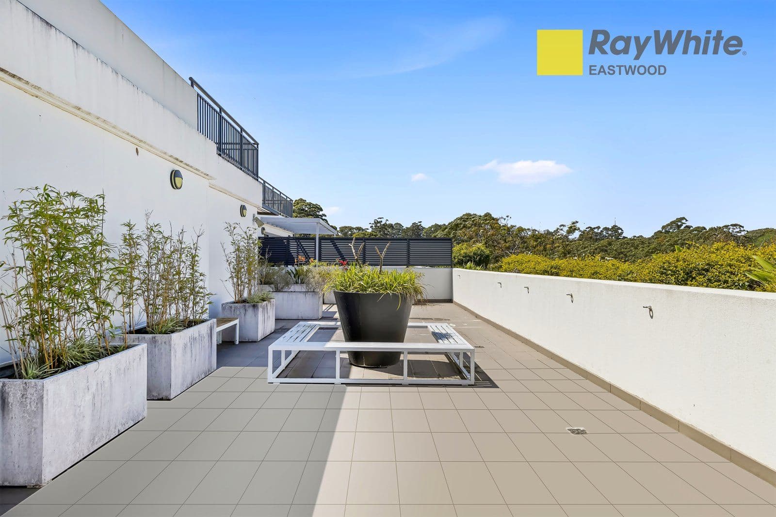 56-60 Gordon Crescent, Lane Cove North NSW 2066, Lane Cove North - Thumbnail 6