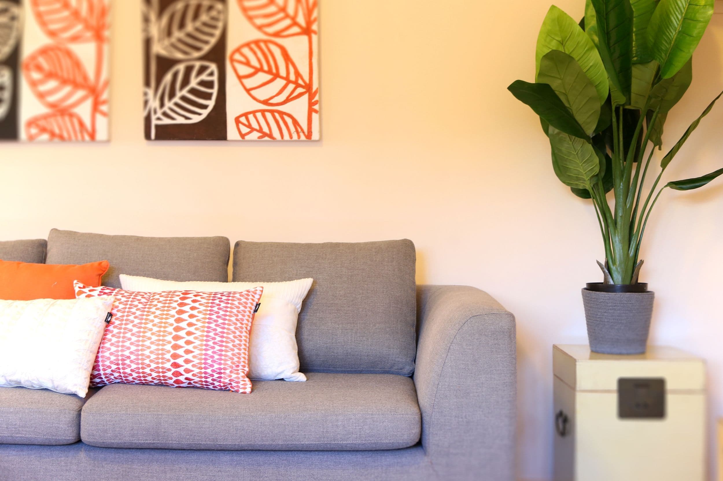1 Shelly Place/249 High Street, Hastings, Hastings - Thumbnail 4