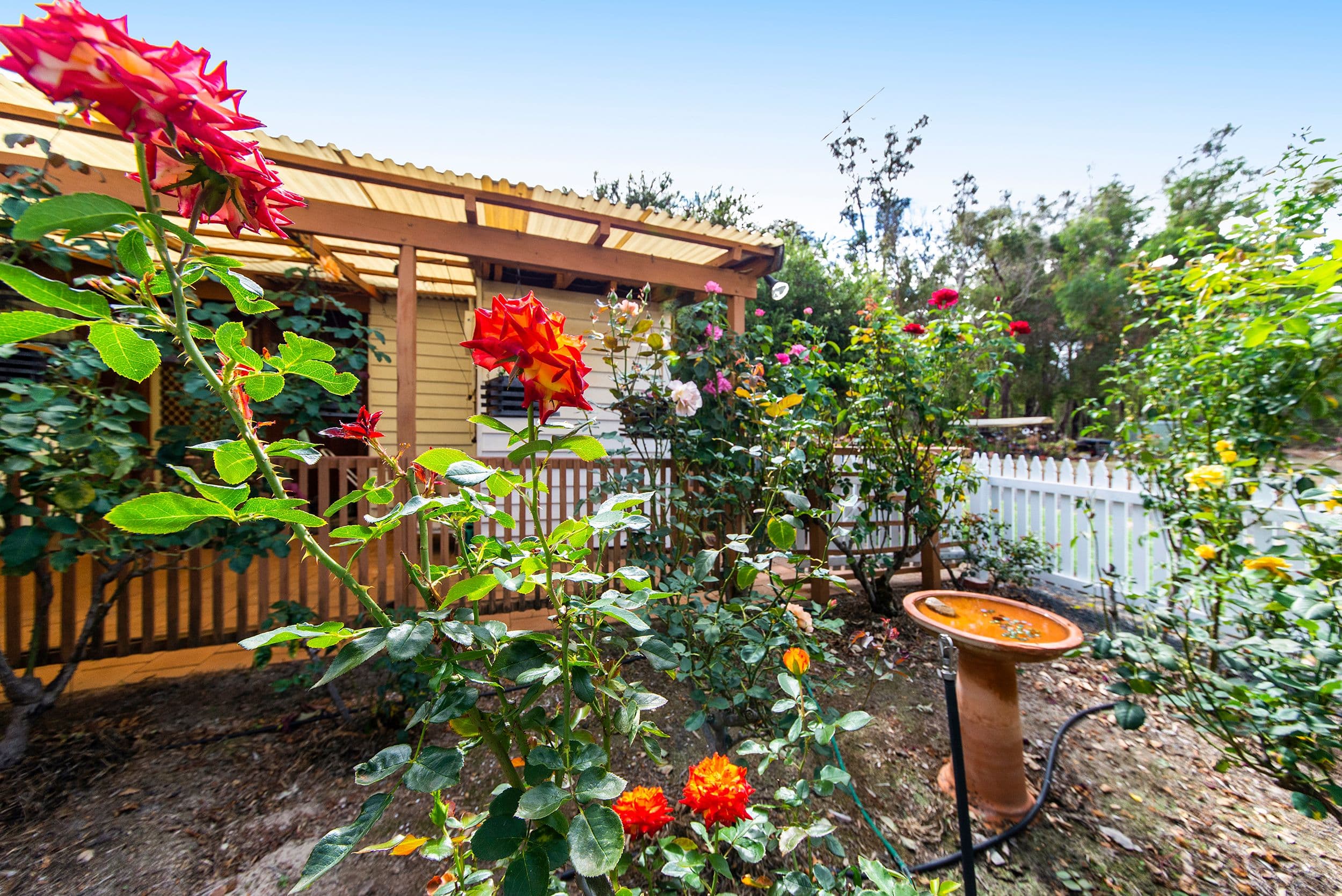 28 Wilson Street, Nannup WA 6275, Nannup - Thumbnail 2